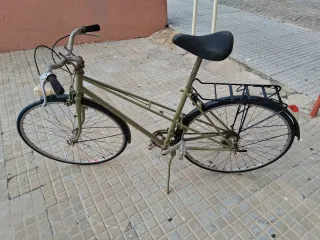 Bicicleta Clásica Verde