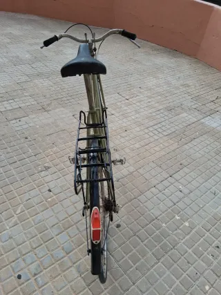 Bicicleta Clásica Verde