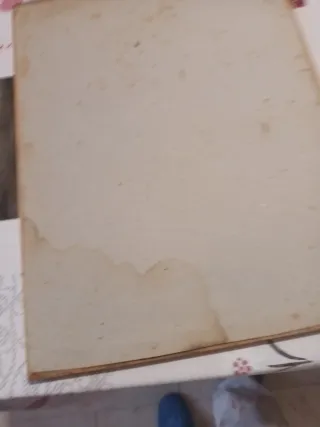 Quadretto cane con fiori