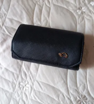 Portagioie da viaggio Carpisa blu