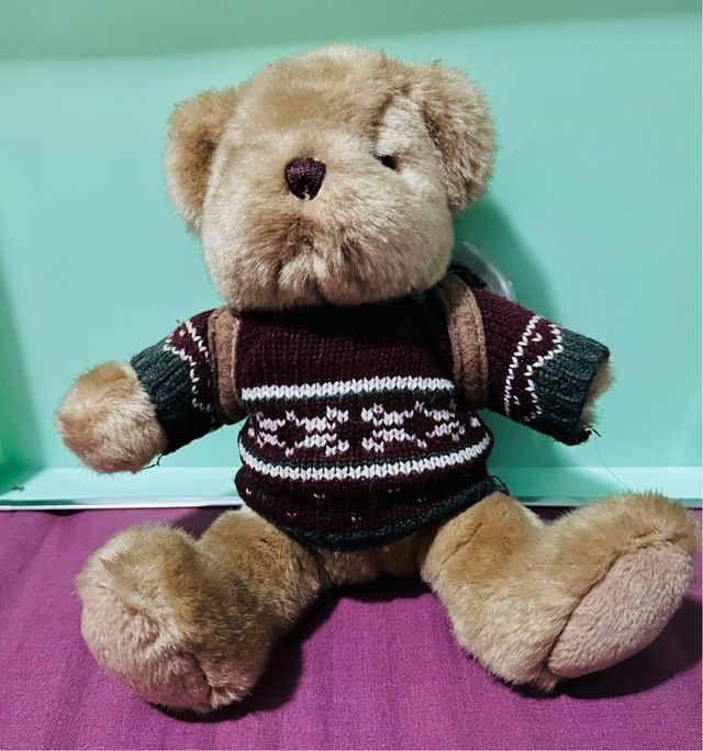 Lote colección ositos de peluche