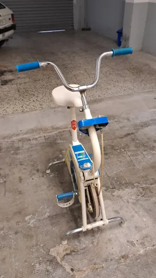 Bicicleta Estática BH Vintage No hago envíos