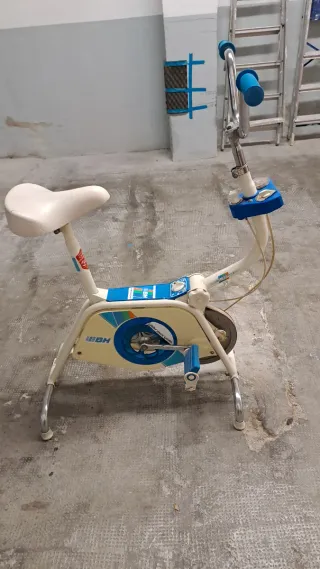 Bicicleta Estática BH Vintage No hago envíos