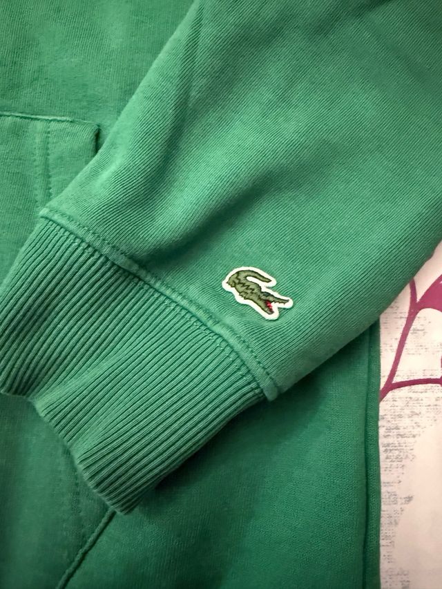 Felpa Lacoste con cappuccio verde