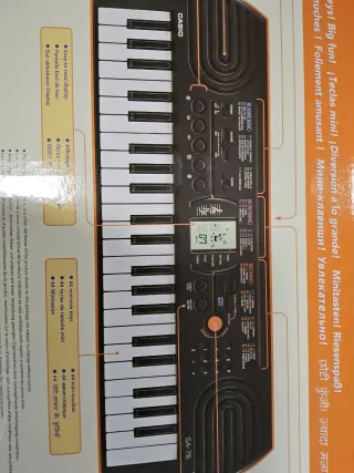 Teclado Electrónico Casio SA-76 Electronic Keyboar