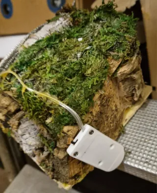 Presepe natalizio artigianale