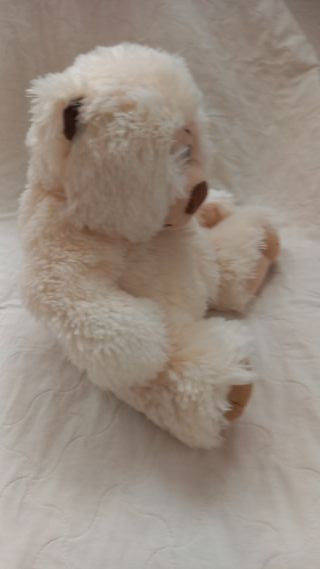 Orsacchiotto bianco morbido