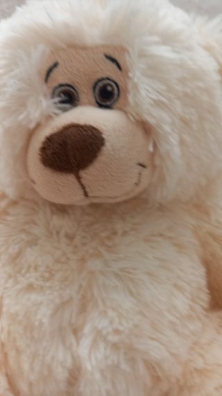 Orsacchiotto bianco morbido