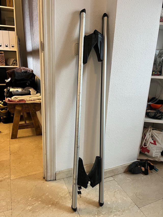 Portaequipajes de coche