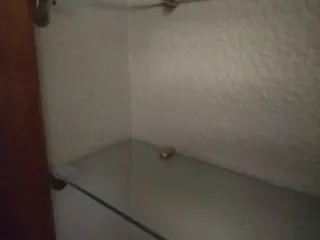 9 Estantes de Cristal 14cm Ancho