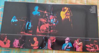 The Doors - Absolutely Live 2LP