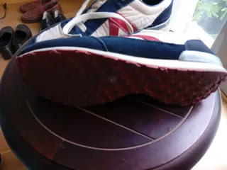 Zapatillas El Ganso Beige y Azul