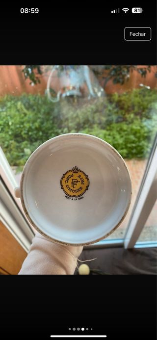 Bule Limoges em Porcelana Floral