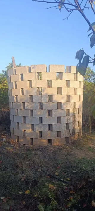 Parcela de naranjos y kakis