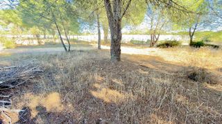 Terreno en venta en Almonte en Almonte