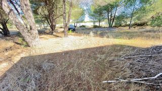 Terreno en venta en Almonte en Almonte