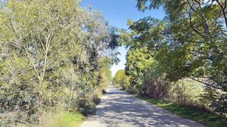 Terreno en venta en Almonte en Almonte