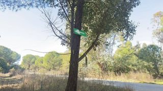 Terreno en venta en Almonte en Almonte