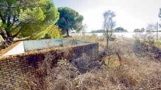 Terreno en venta en Almonte en Almonte