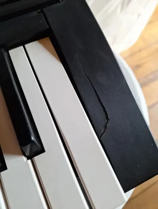 ORGANO ELECTRÓNICO CASIO CTK-50.