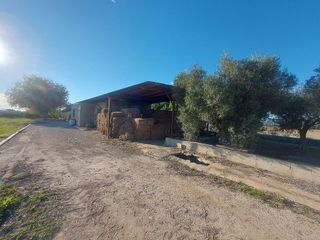 Terreno en venta en Dolores