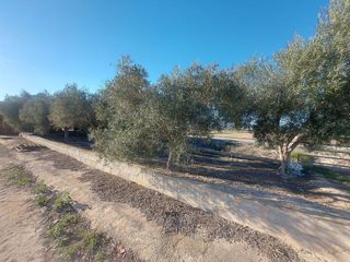 Terreno en venta en Dolores