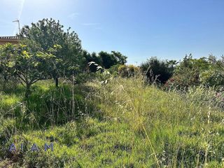 Terreno en venta en Sant Pol de Mar