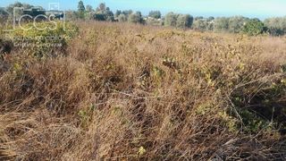Terreno en venta en Almonte en Almonte