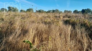 Terreno en venta en Almonte en Almonte
