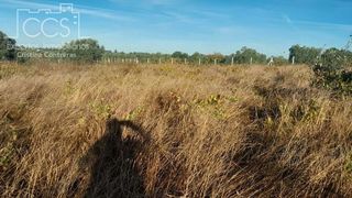 Terreno en venta en Almonte en Almonte