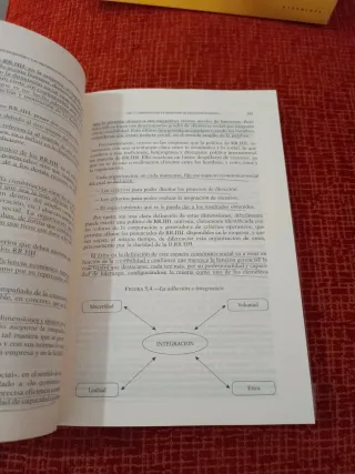 Los Recursos Humanos en la Empresa: Un Enfoque ...