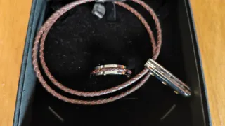 Anillo y Colgante Viceroy Hombre