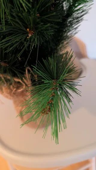 Albero di Natale 60cm Maison du Monde