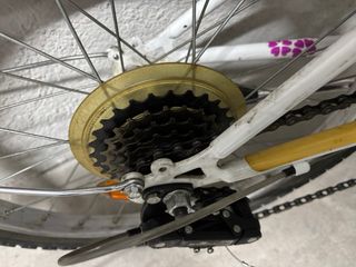 Bicicleta niña Decathlon Btwin 5 marchas más bolso