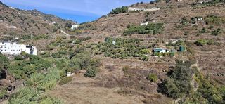 Casa adosada en alquiler en Algarrobo en Algarrobo