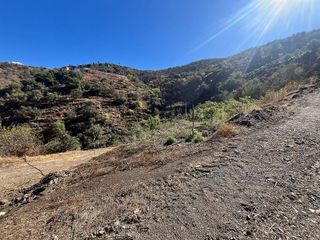 Terreno en venta en Algarrobo en Algarrobo