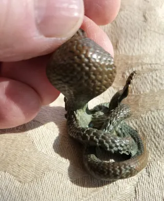 Figura Cobra Bronce Vintage Pequeña