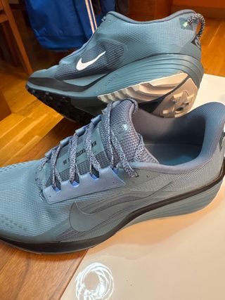 Nike Pegasus Trail 06 Nuevas