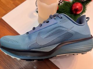 Nike Pegasus Trail 06 Nuevas