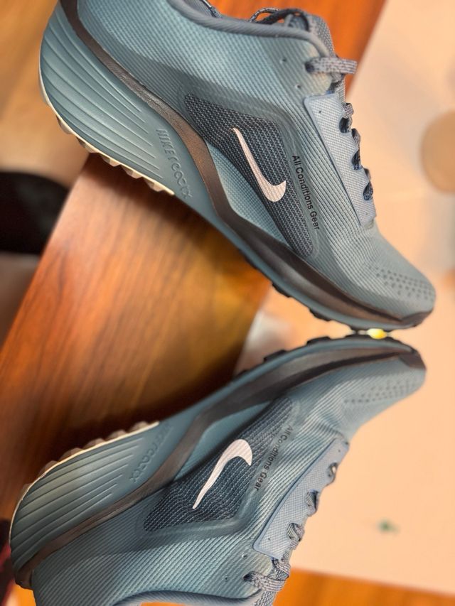 Nike Pegasus Trail 06 Nuevas