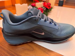 Nike Pegasus Trail 06 Nuevas