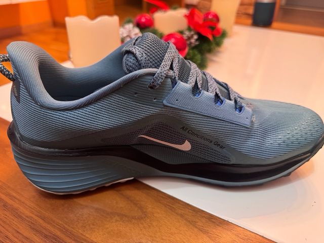 Nike Pegasus Trail 06 Nuevas