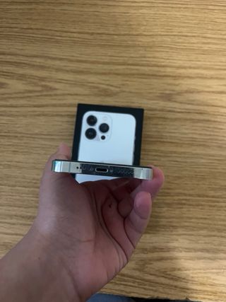 iPhone 13 Pro Plata