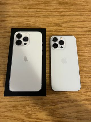 iPhone 13 Pro Plata