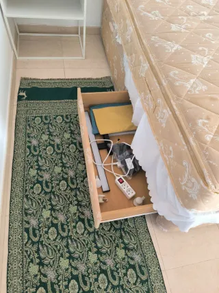 Colchón y canapé 150x200 cm