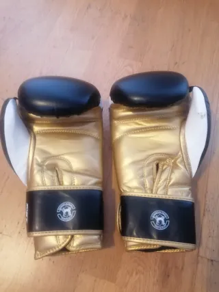 Set Kickboxing Venum Guantes y Tibiales