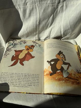 Walt Disney 1979 libro Scoiattolo vintage
