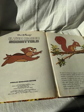 Walt Disney 1979 libro Scoiattolo vintage