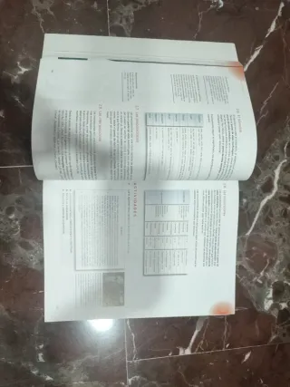 LENGUA CASTELLANA Y LITERATURA 1 BACH. (Spanish...