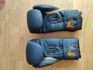 Guantes Boxeo Leone 14oz Azul